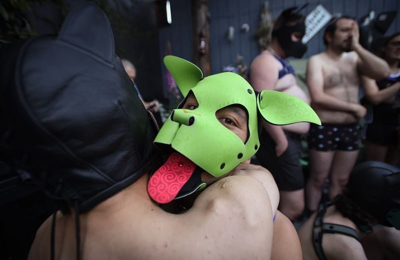 BDSM-сообщество "pup play", члены которого косят под собак