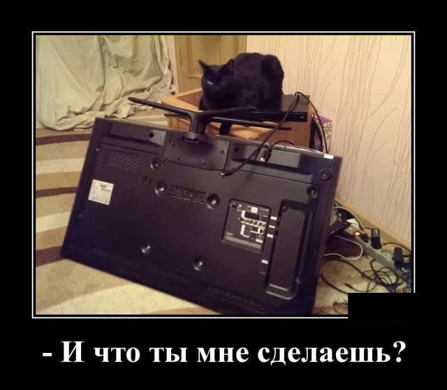 Демотиваторы