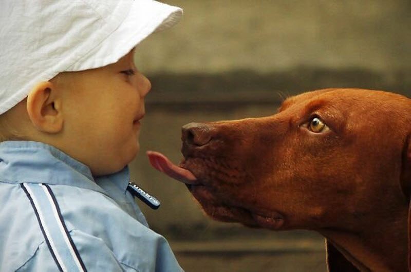 20 человек, которые успели сделать фотографию в нужный момент