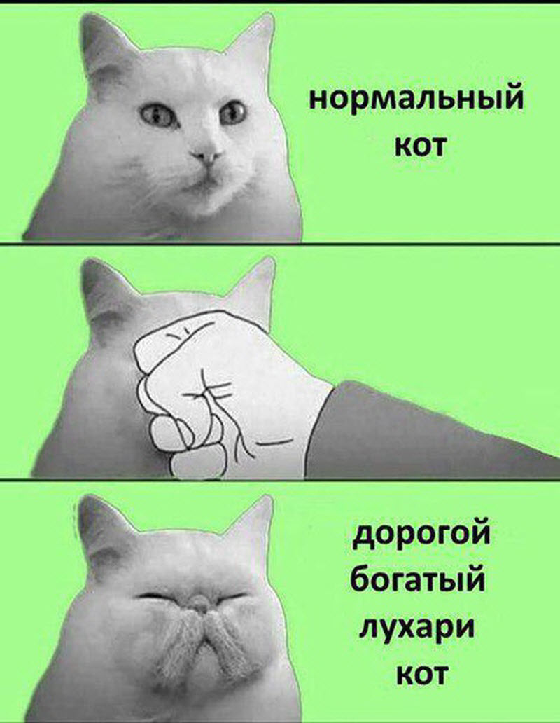 Прикольные картинки
