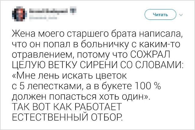 "Не сделал ничего, значит не сделал плохо!". Народно-интернетные изречения о лени
