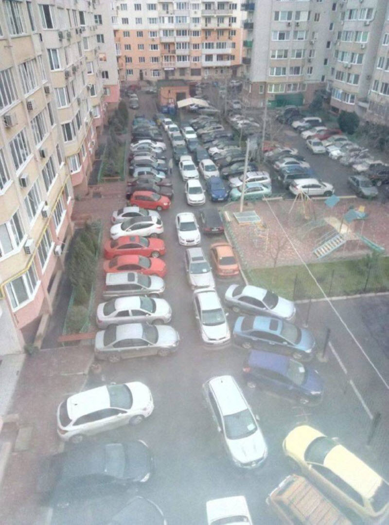 Прикольные картинки