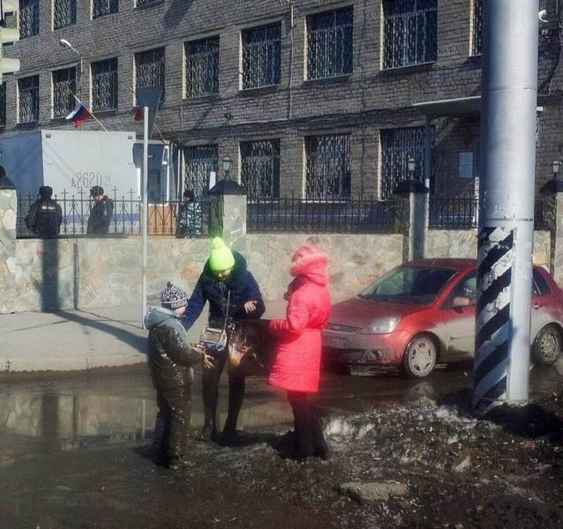 Прикольные картинки