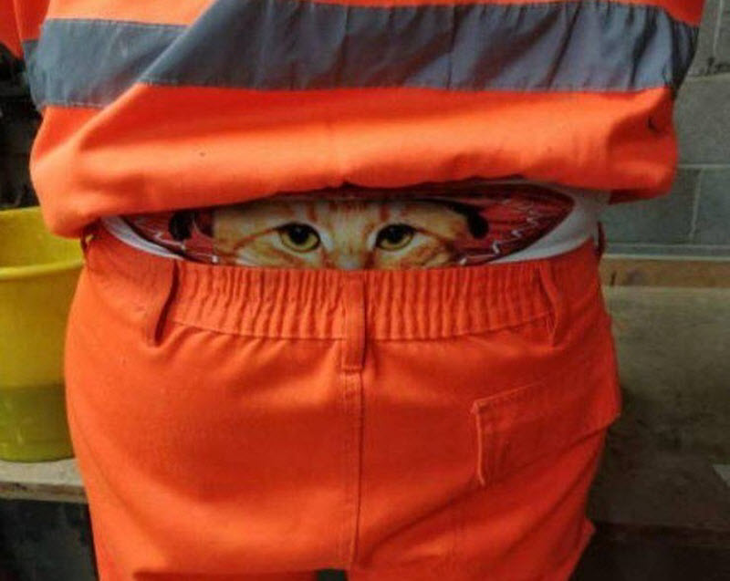 Прикольные картинки