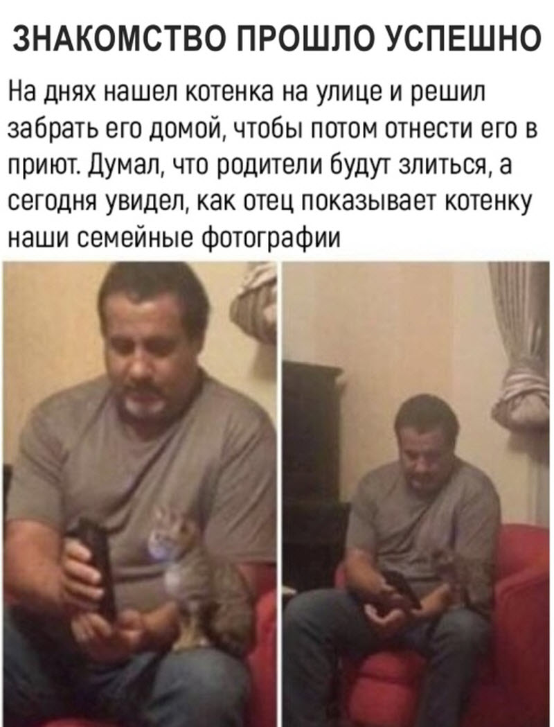 Прикольные картинки