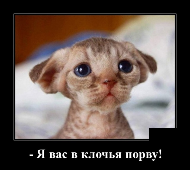 Демотиваторы
