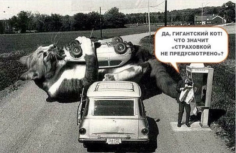 Прикольные картинки