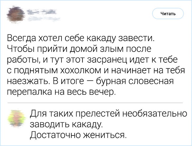 Комментирование - это искусство. Подборка острот с просторов Интернета