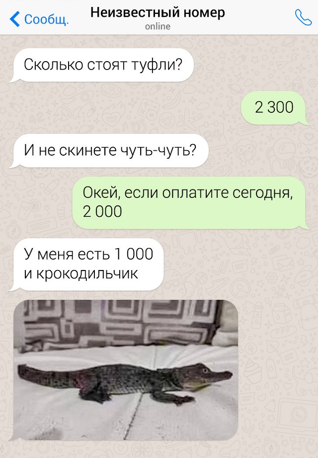 Подборка скринов из чатов людей, которые могут круто ответить на что угодно