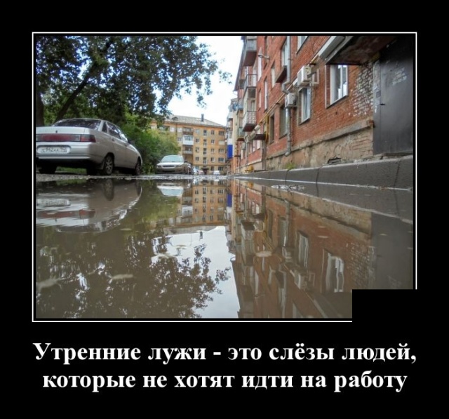 Демотиваторы