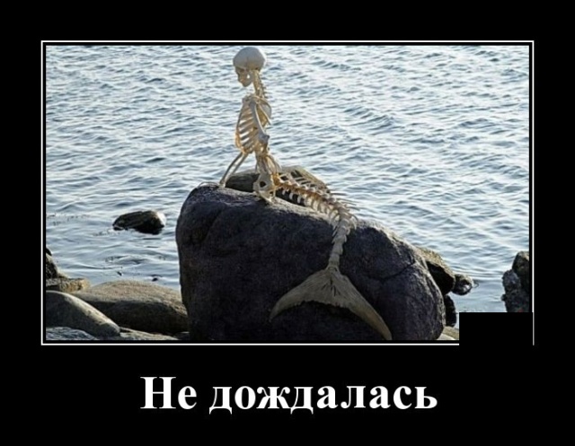 Демотиваторы