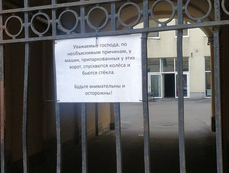Прикольные картинки