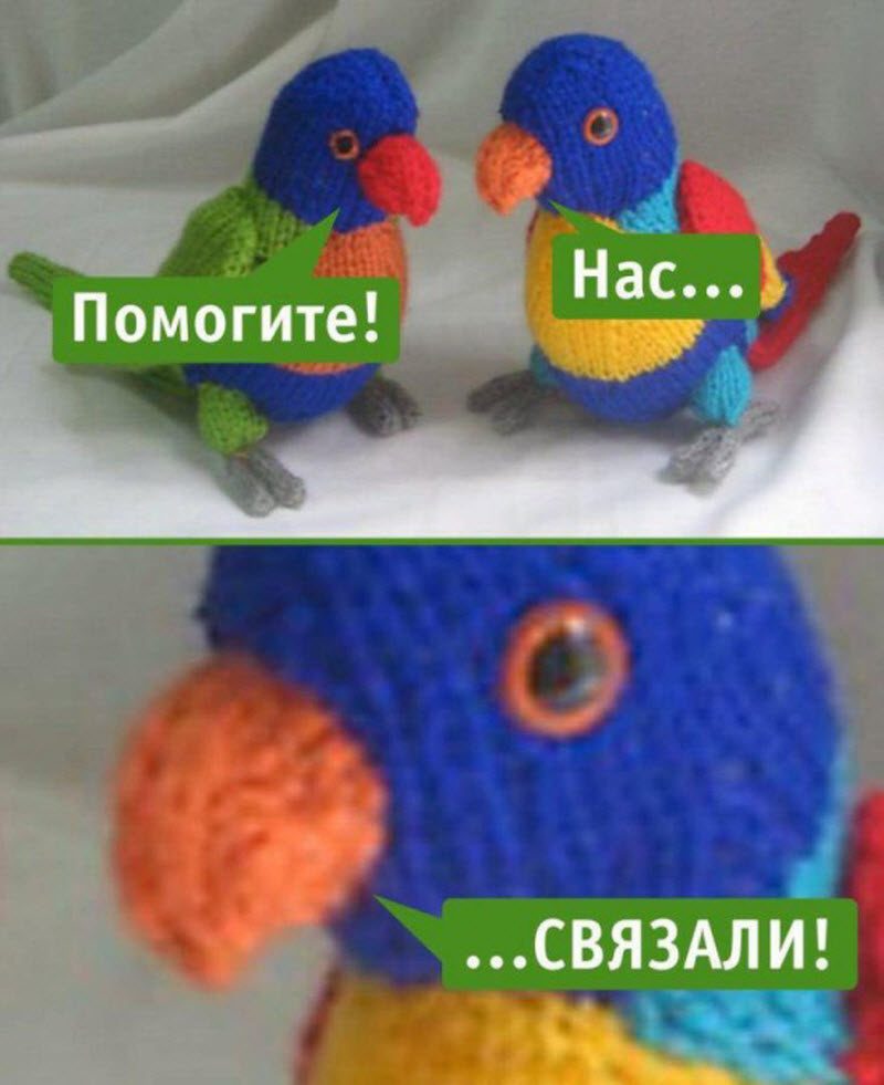 Прикольные картинки