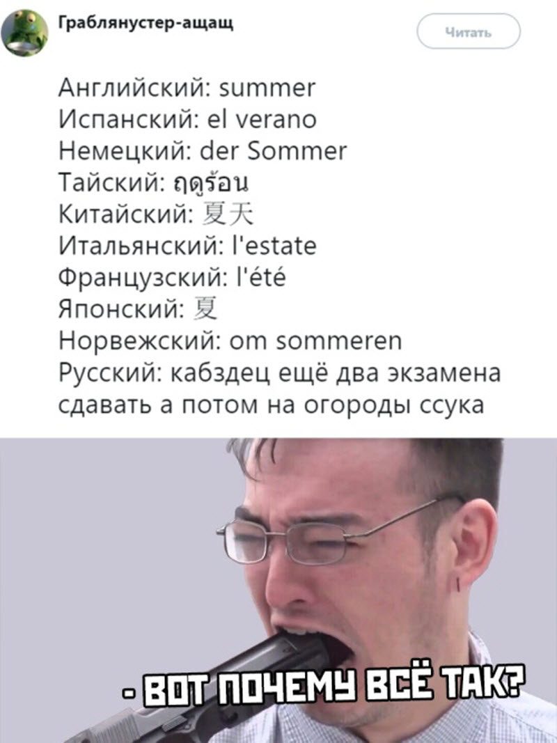Прикольные картинки
