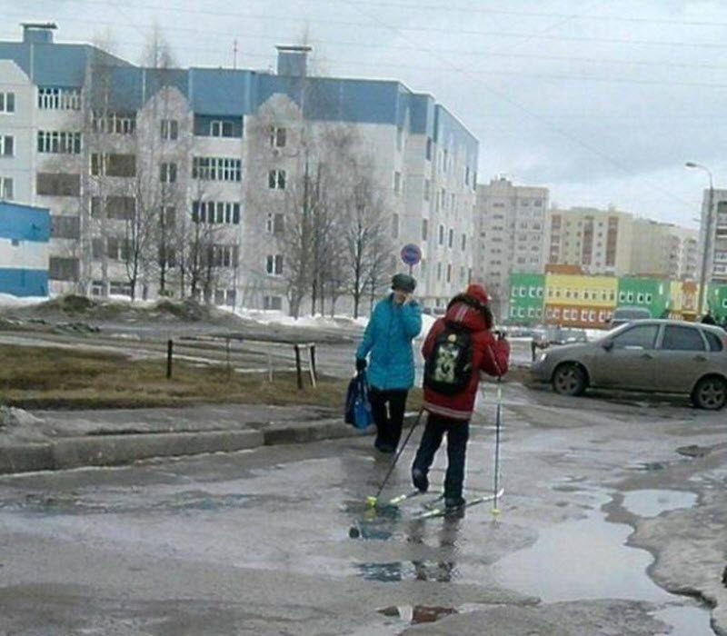 Прикольные картинки