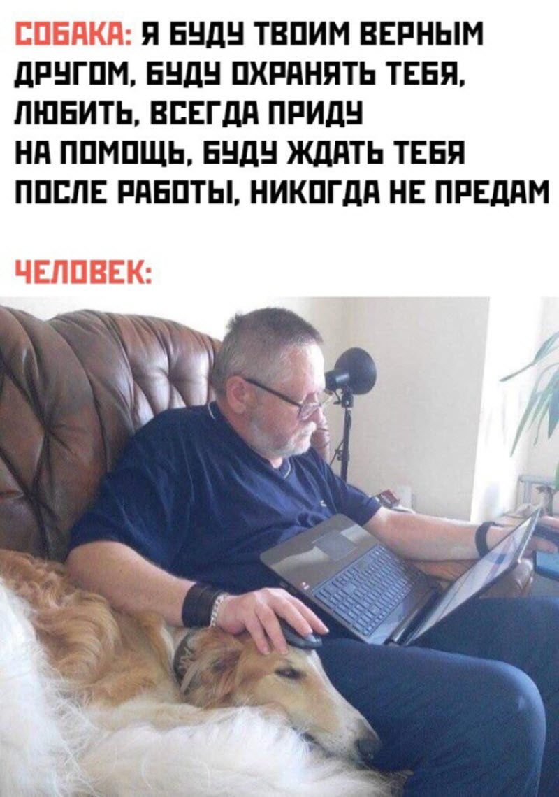 Прикольные картинки