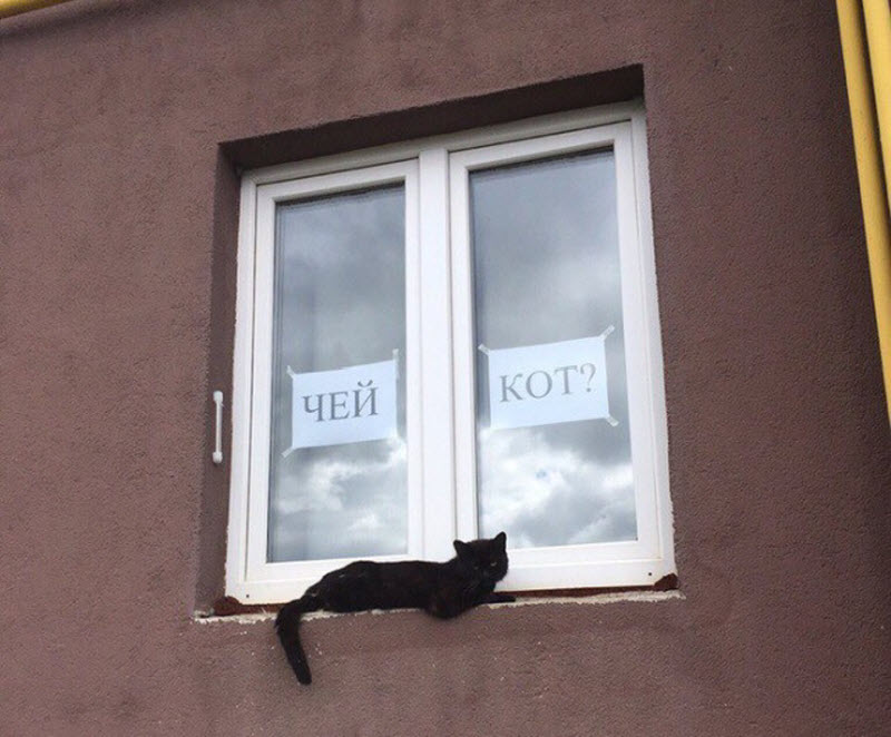Прикольные картинки