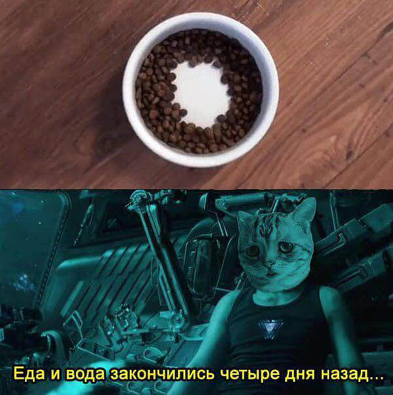 Прикольные картинки