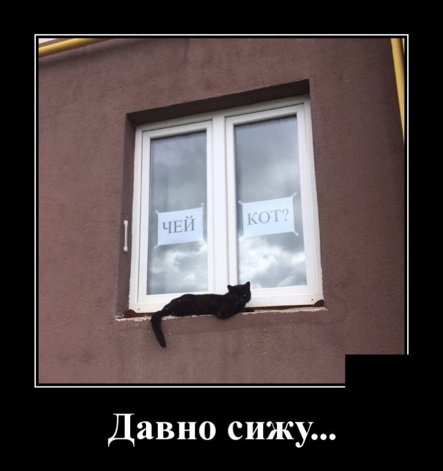 Демотиваторы