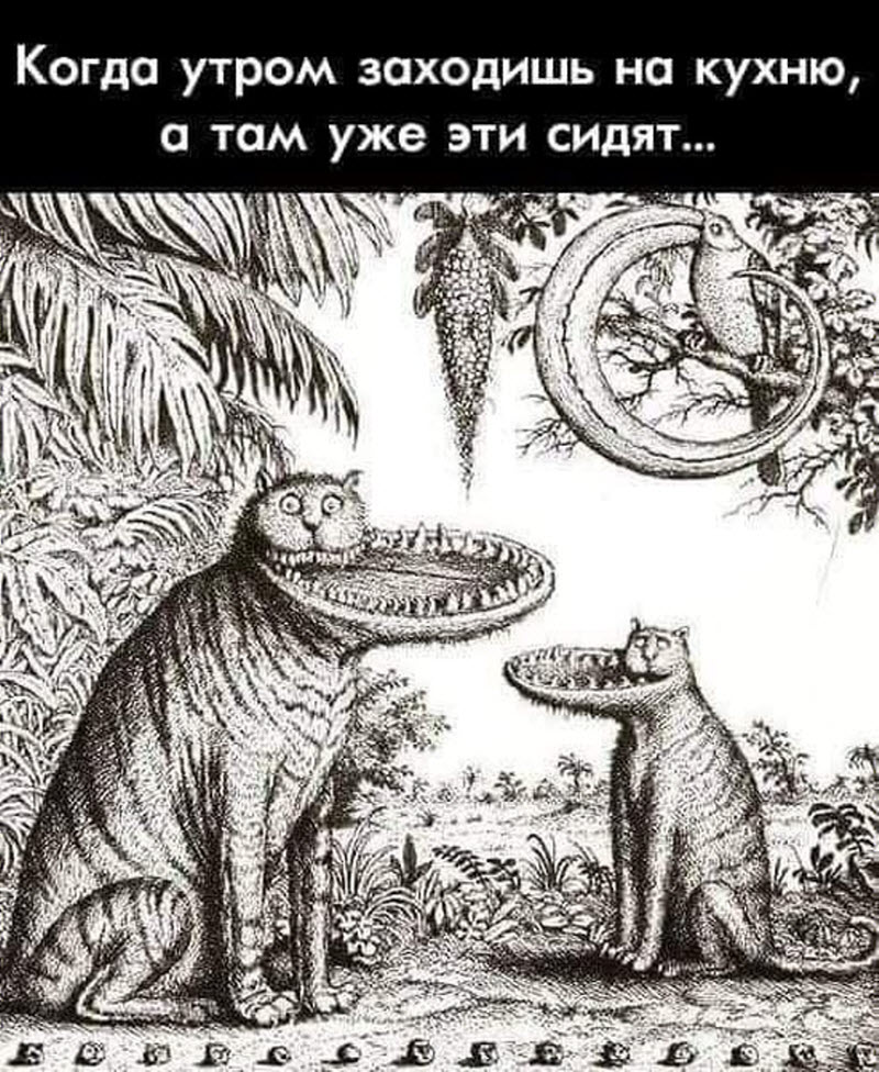 Прикольные картинки