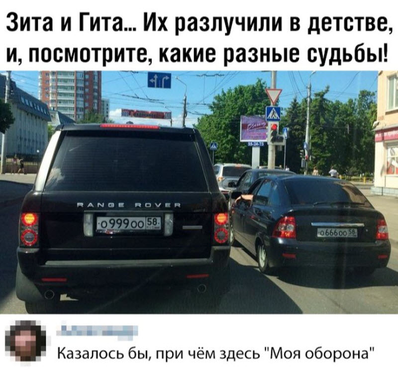 Прикольные картинки