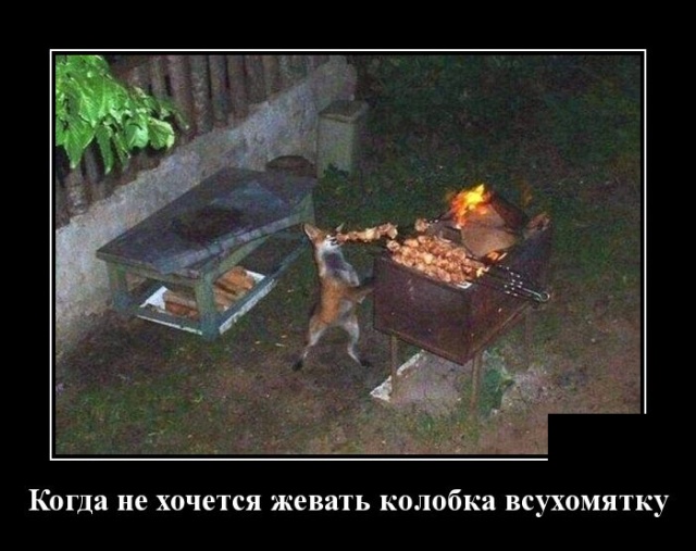 Демотиваторы