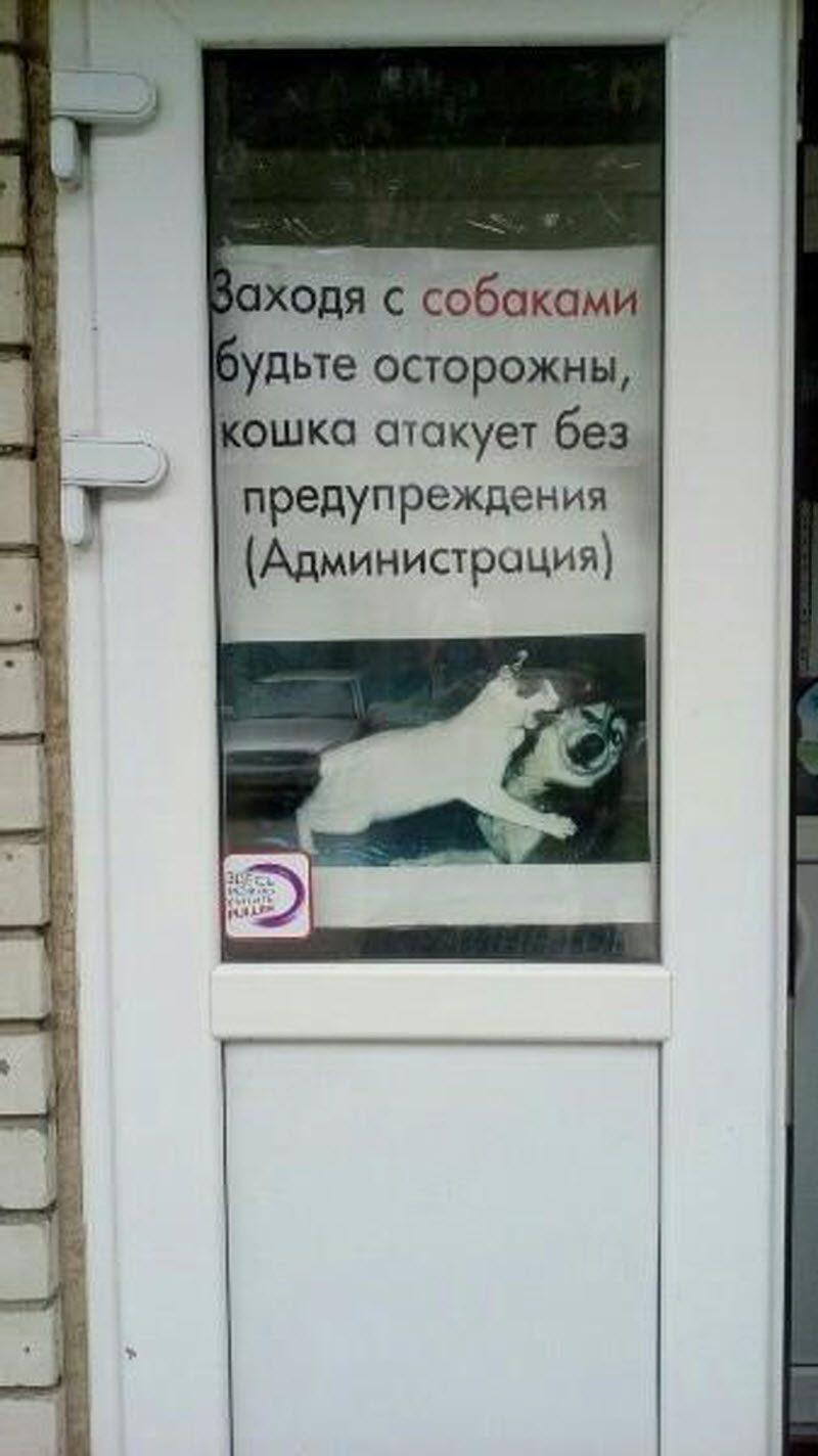 Дивный мир объявлений
