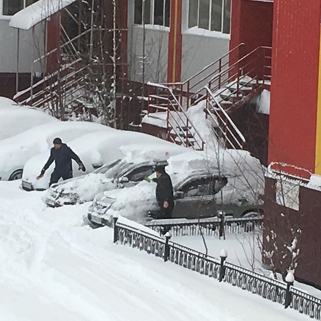 Зима близко. На пороге лета в Салехарде начался снегопад