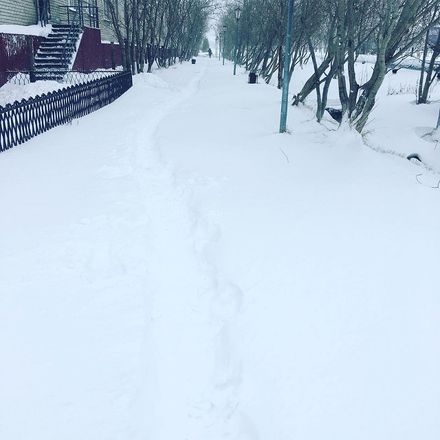 Зима близко. На пороге лета в Салехарде начался снегопад