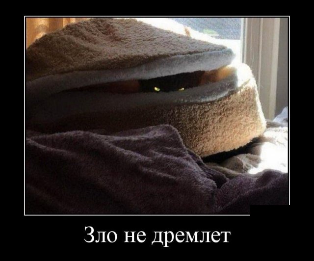 Демотиваторы