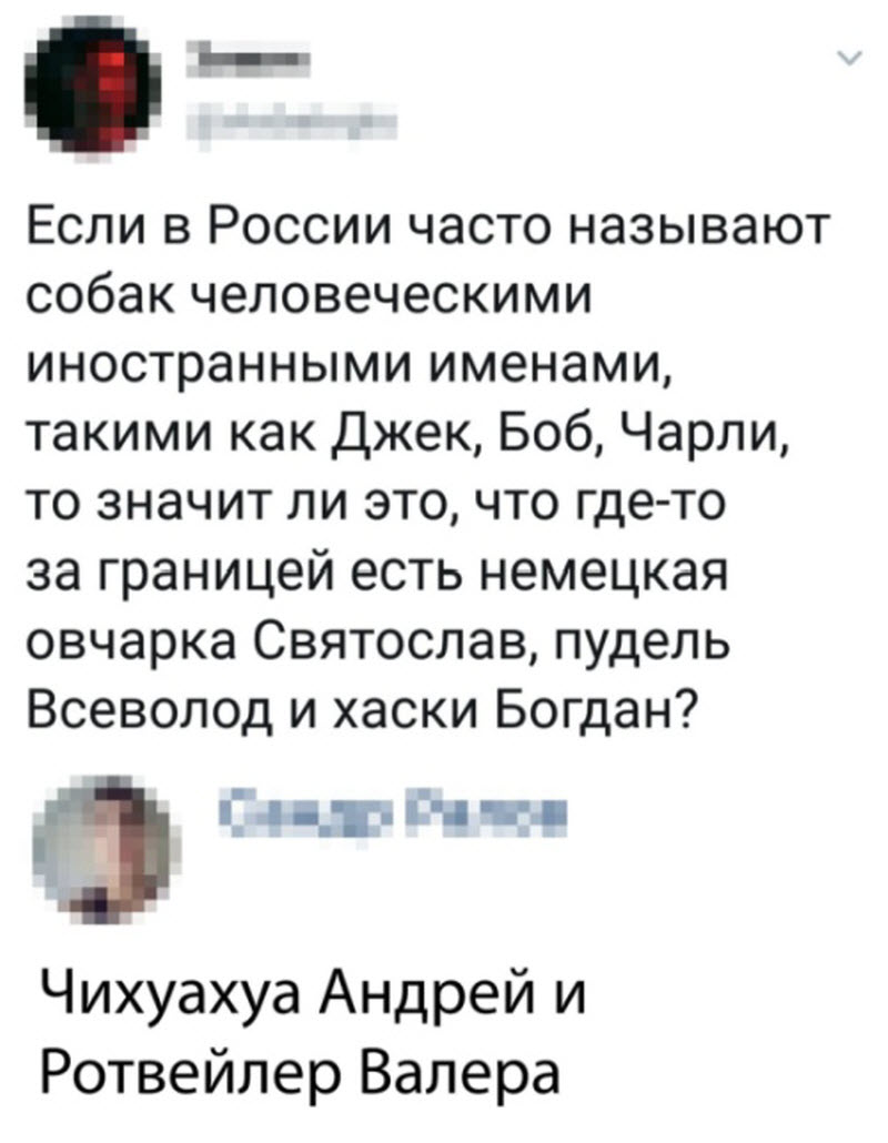 Прикольные картинки