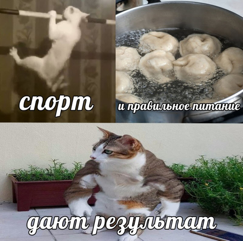 Прикольные картинки