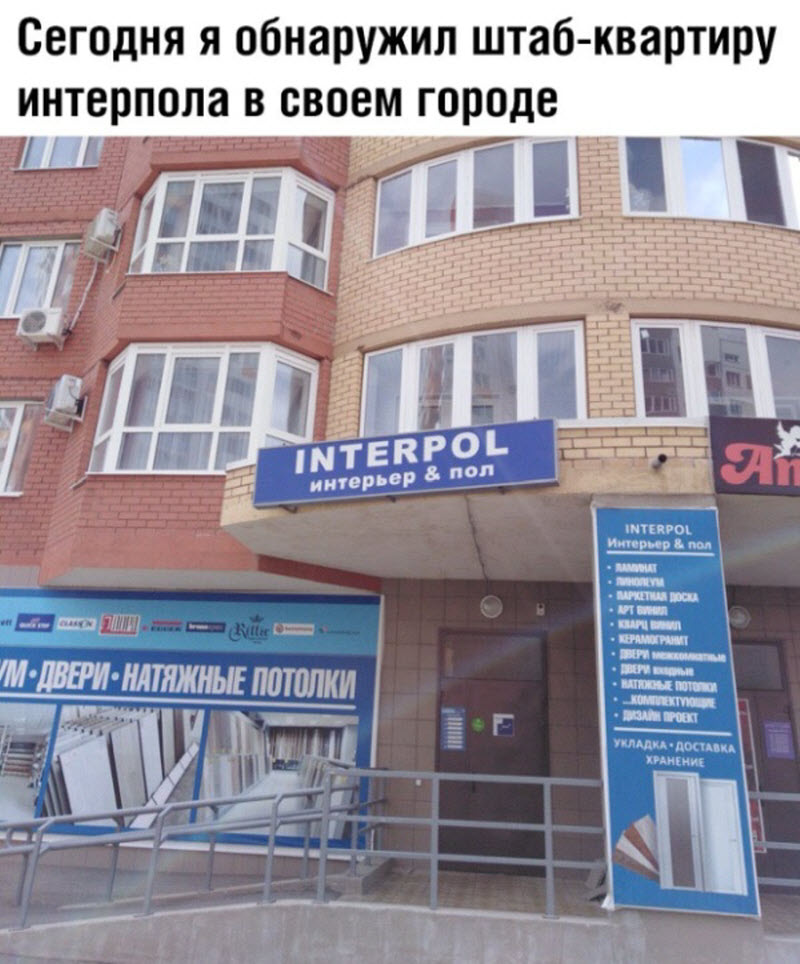 Прикольные картинки