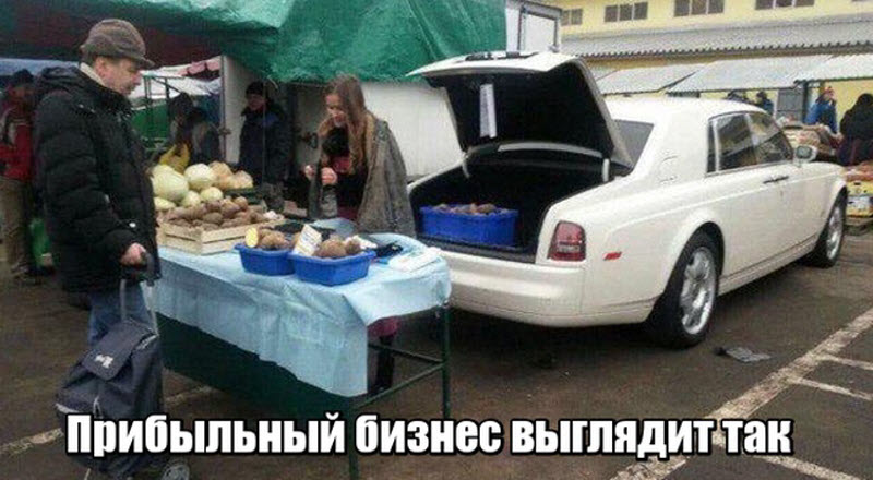 Прикольные картинки