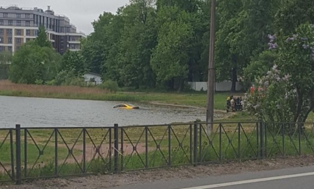 В Питере вытащили из пруда "золотую" Audi олимпийского чемпиона. На машине остались следы пуль