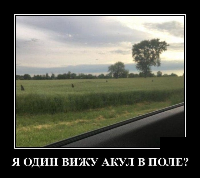 Демотиваторы
