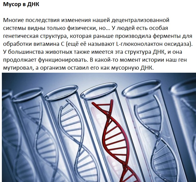 Следы на человеческом теле, оставленные эволюцией