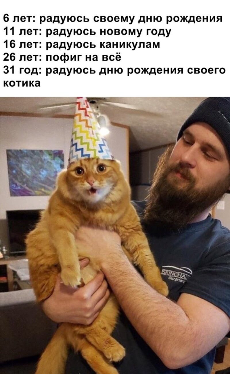 Прикольные картинки