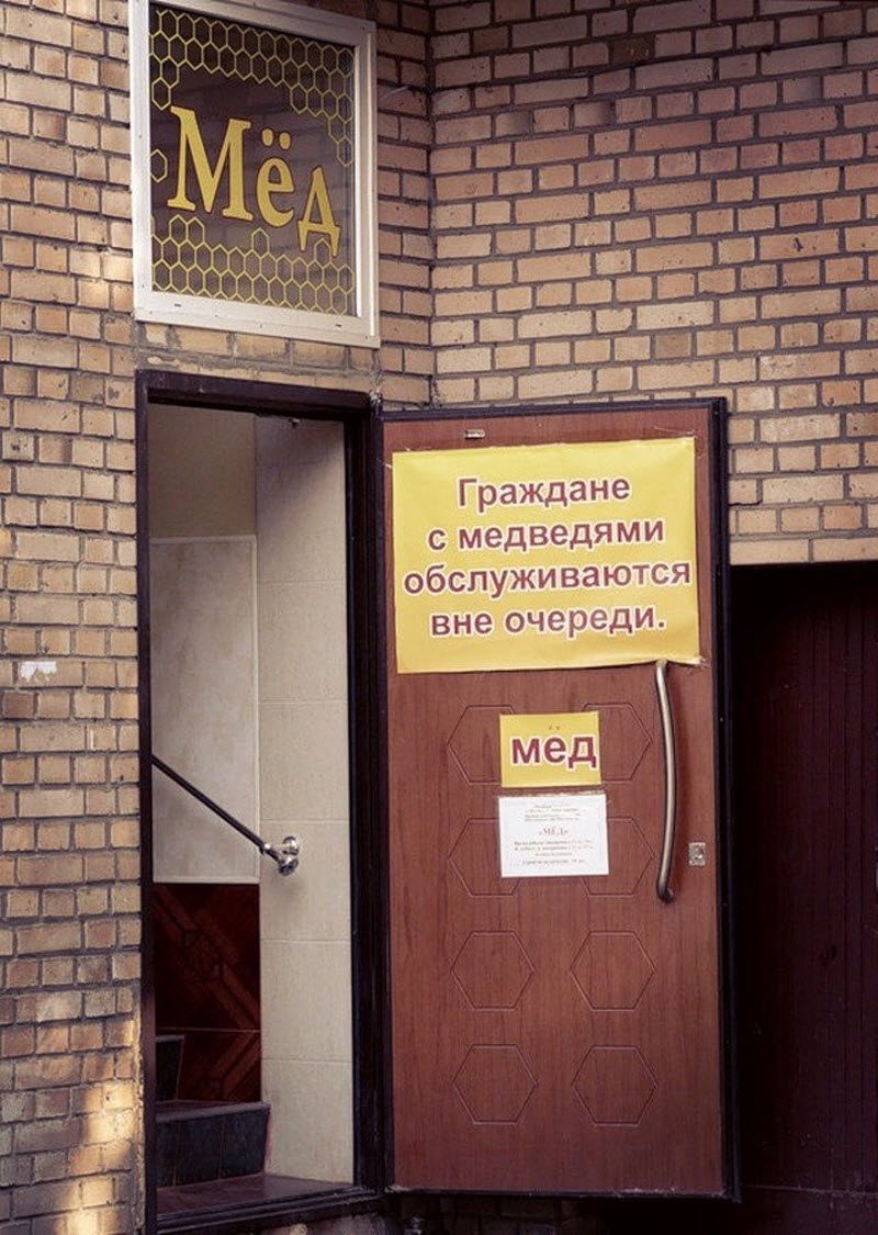 Прикольные картинки