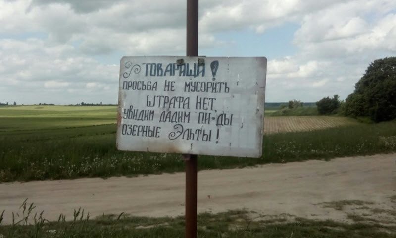 Прикольные картинки