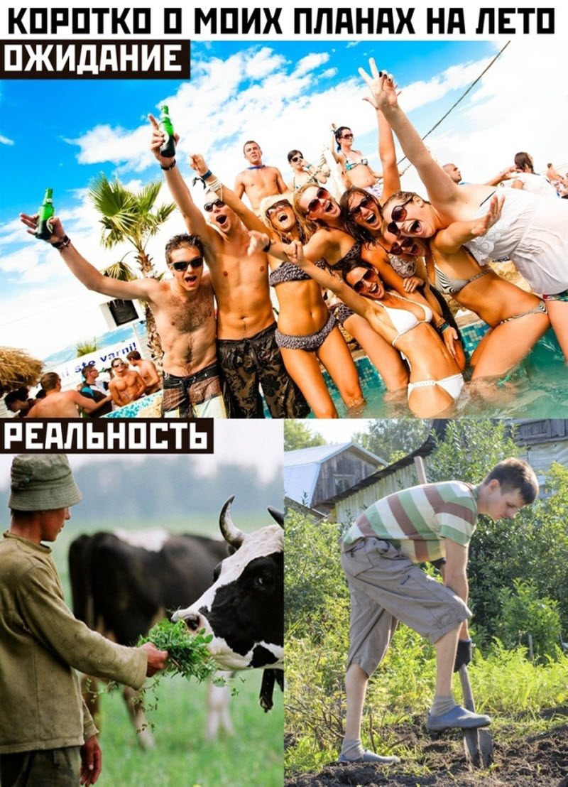 Прикольные картинки