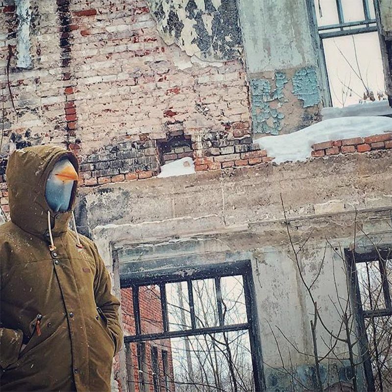 Чудаки, которым по приколу жить в маске голубя