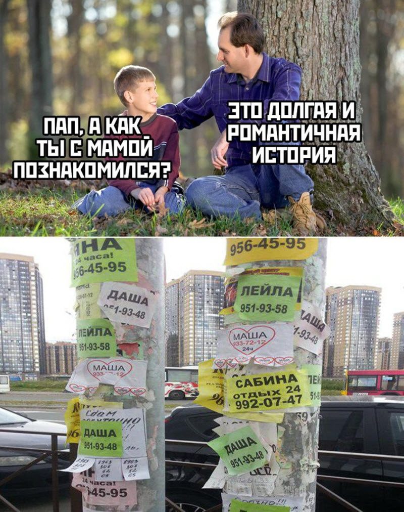 Прикольные картинки