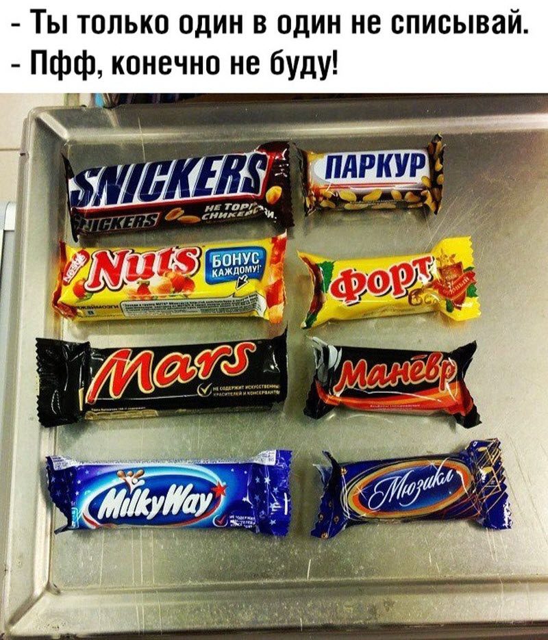 Прикольные картинки