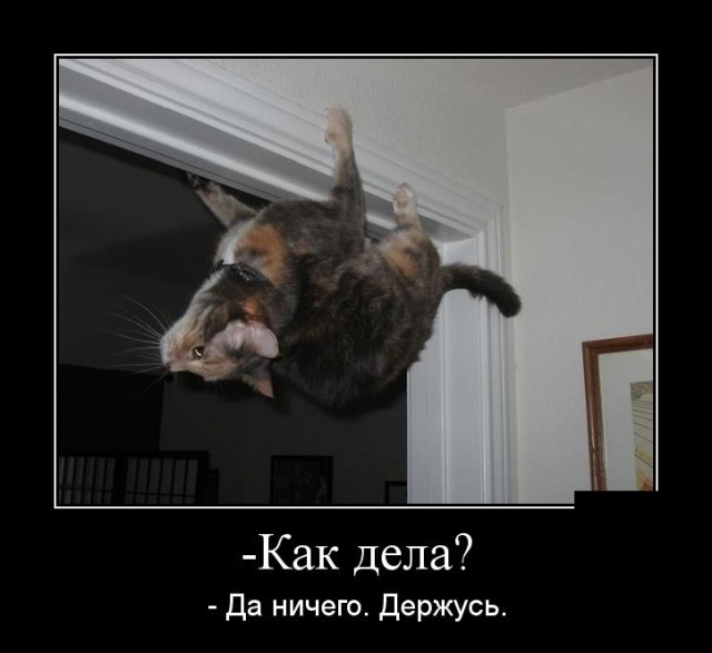 Демотиваторы