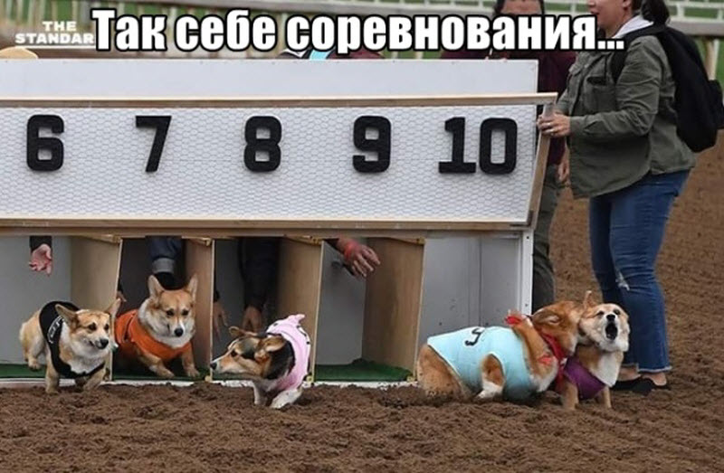 Прикольные картинки