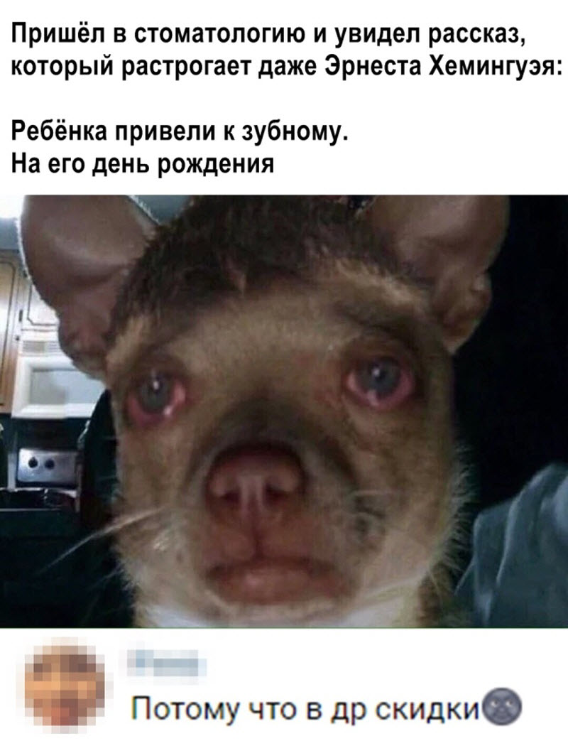 Прикольные картинки