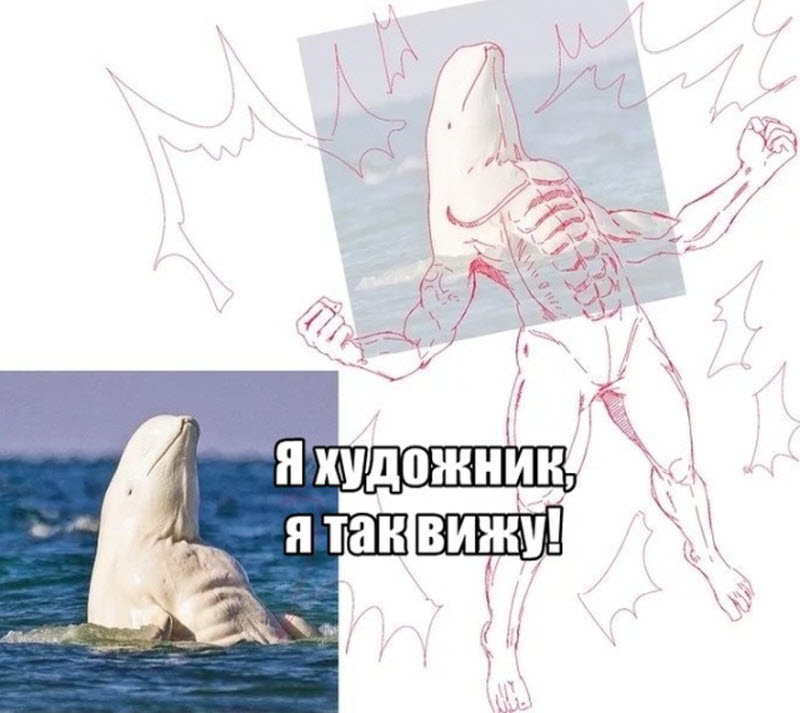 Прикольные картинки