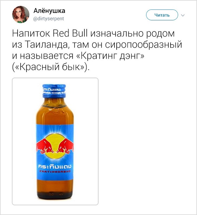35 занятных фактов о Таиланде от москвички, которая прожила там 5 лет