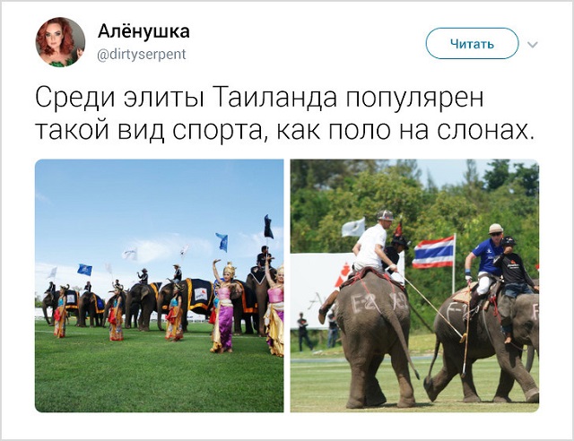 35 занятных фактов о Таиланде от москвички, которая прожила там 5 лет